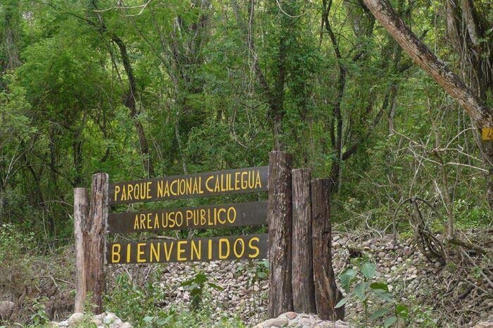 parque nacional calilegua
